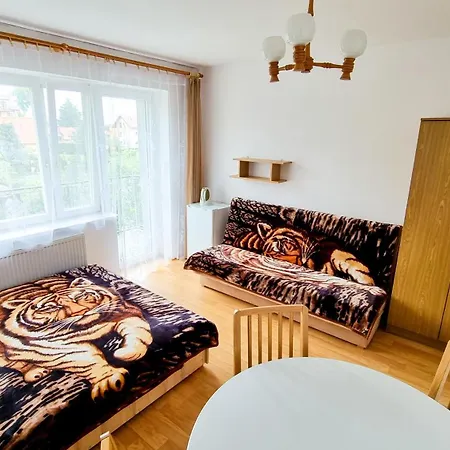 Goscinne Elzbieta Chylinska Homestay *